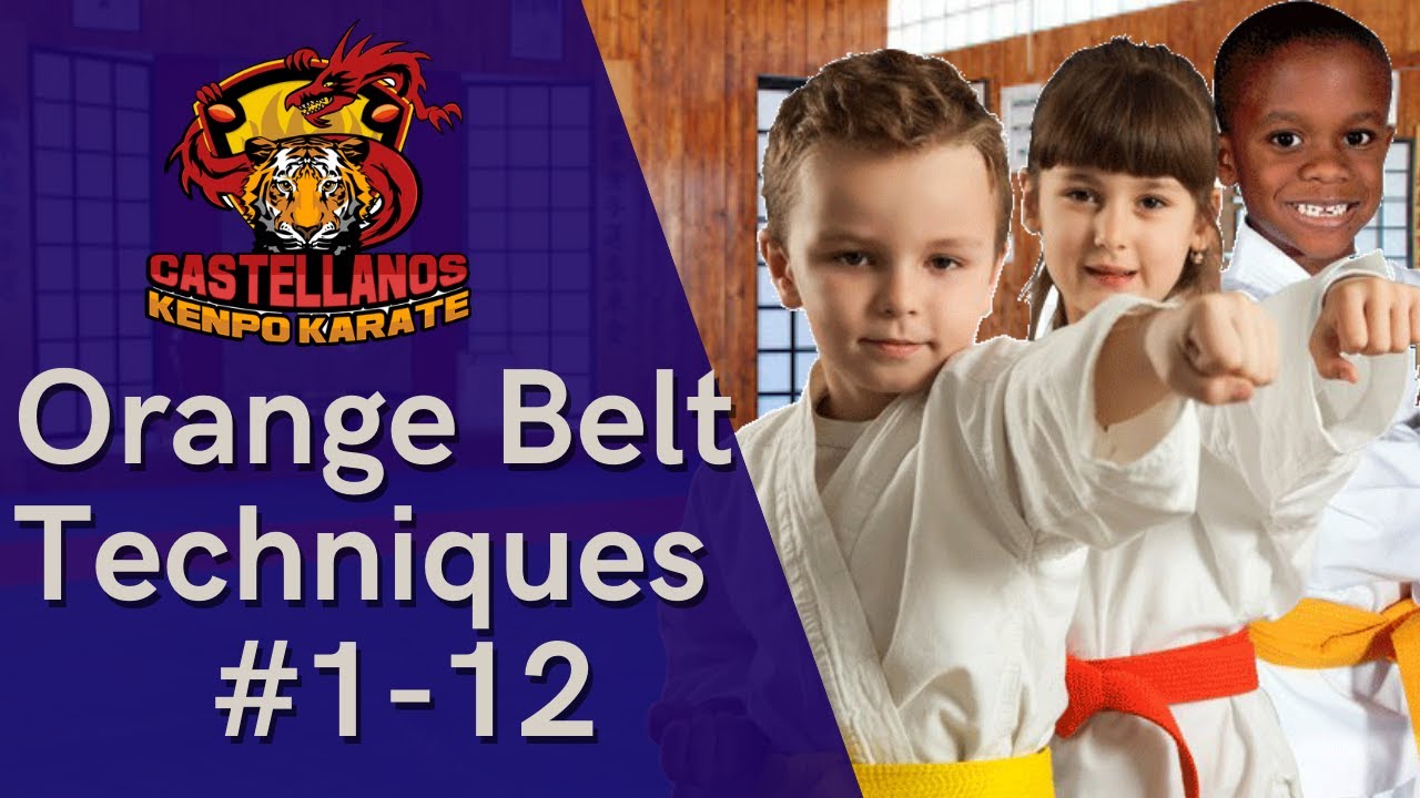 American Kenpo Karate Orange Belt Techniques #1-12