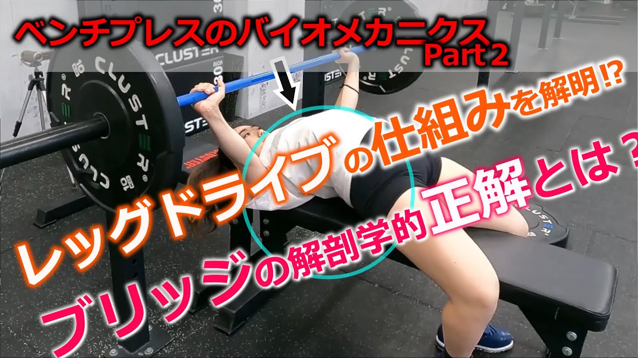 ブリッジ・レッグドライブの秘密に迫る！！ | ベンチプレスのバイオメカニクスPart２