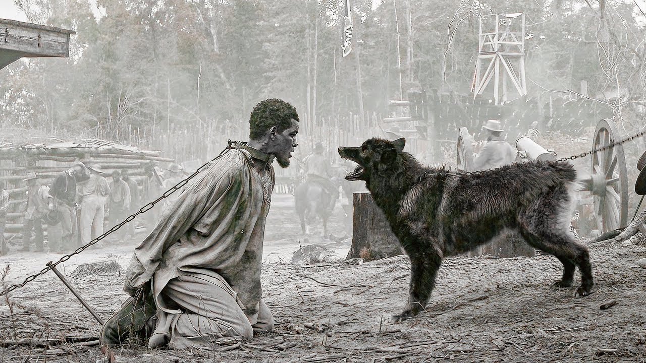 Adoon Ahan Aye Usoo iibsadeeyn Dawo wuxu Sameyay Ku helay Xuriyadiisa @QulasadaFilimada