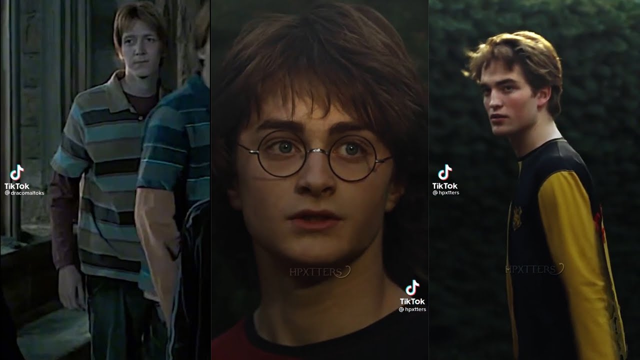 Harry Potter TikToks that made Hermione fail a test
