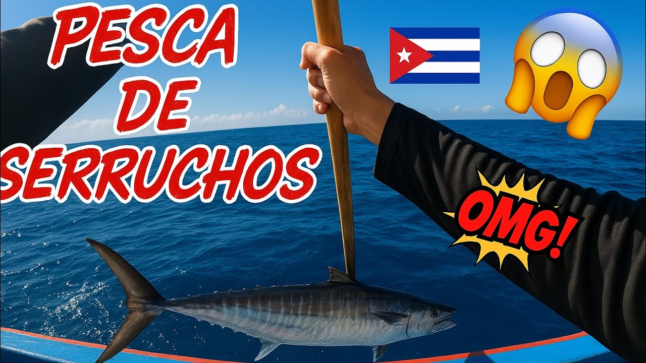 Cómo pescar con carnada viva en Cuba, una pesca de serrucho muy divertida .#cuba #pesca #fishing .