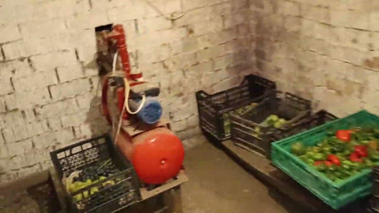 Szőlő, zöldség, gyümölcs tárolása a bevált módszer 🍇🥕🍏🫑