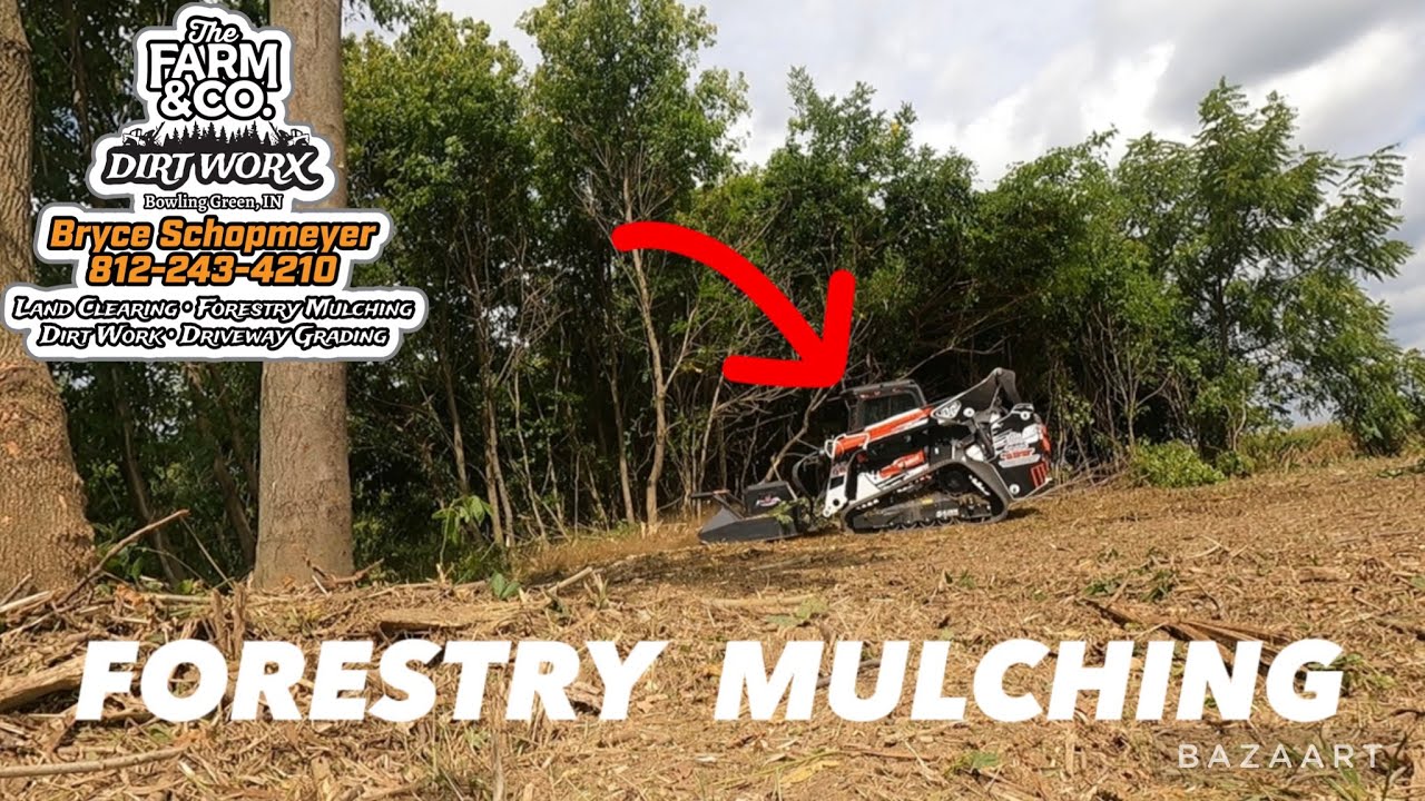 Forestry Mulching (ON THE RIVER)