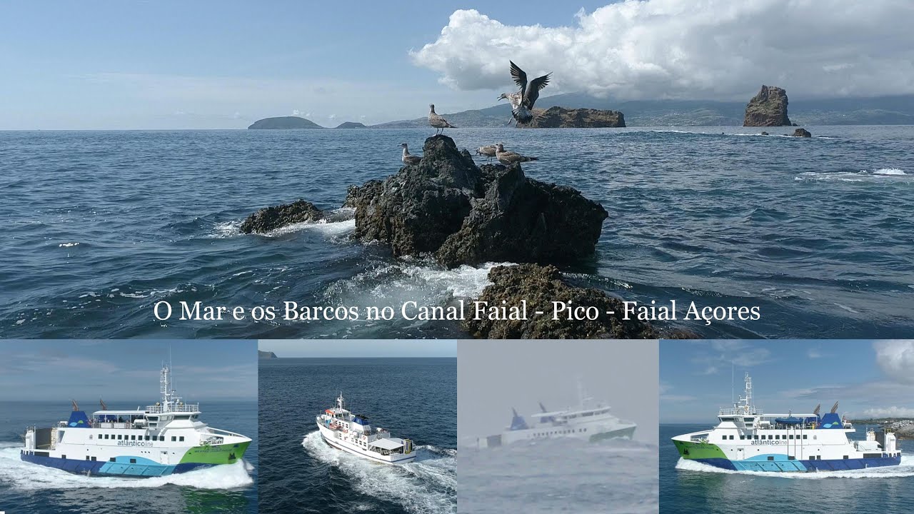 O Mar e os Barcos no Canal Faial   Pico   Faial Açores
