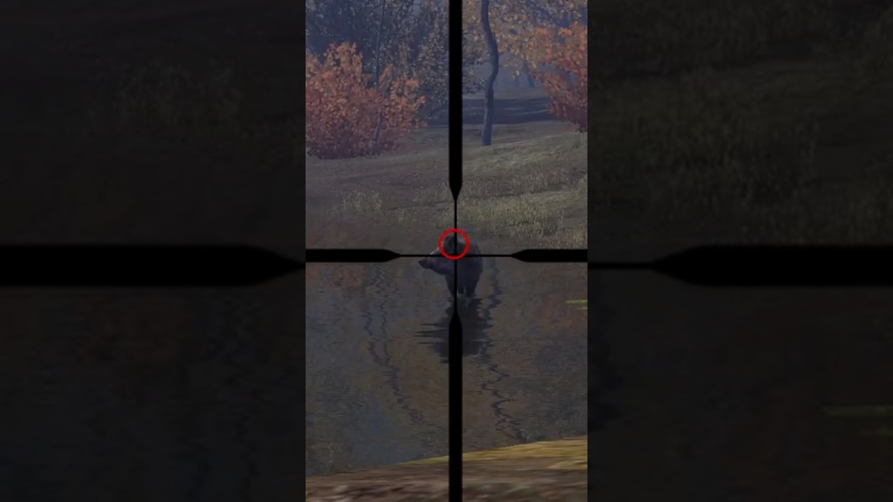 Выстрел в лицо! 