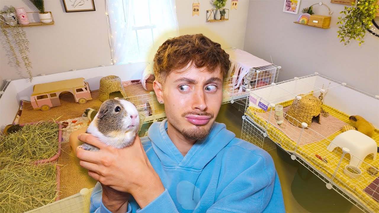 ПРИСМОТР ДЛЯ 10 ПИТОМЦЕВ! 😱🐹🐰 при участии Autumns Piggies