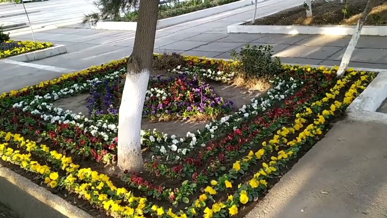 Обновления...(г.Алмалык)