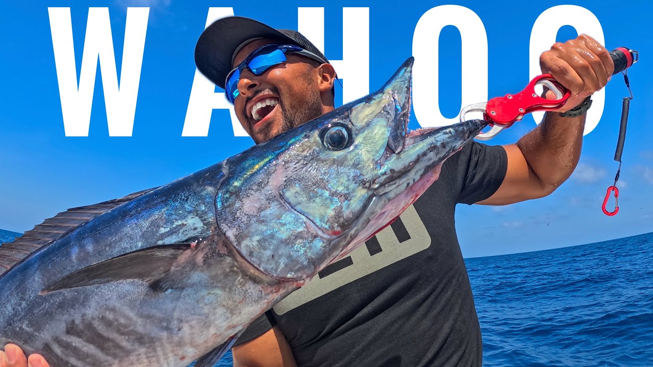 OMAN CASTING AND JIGGING IN HASIK 2024