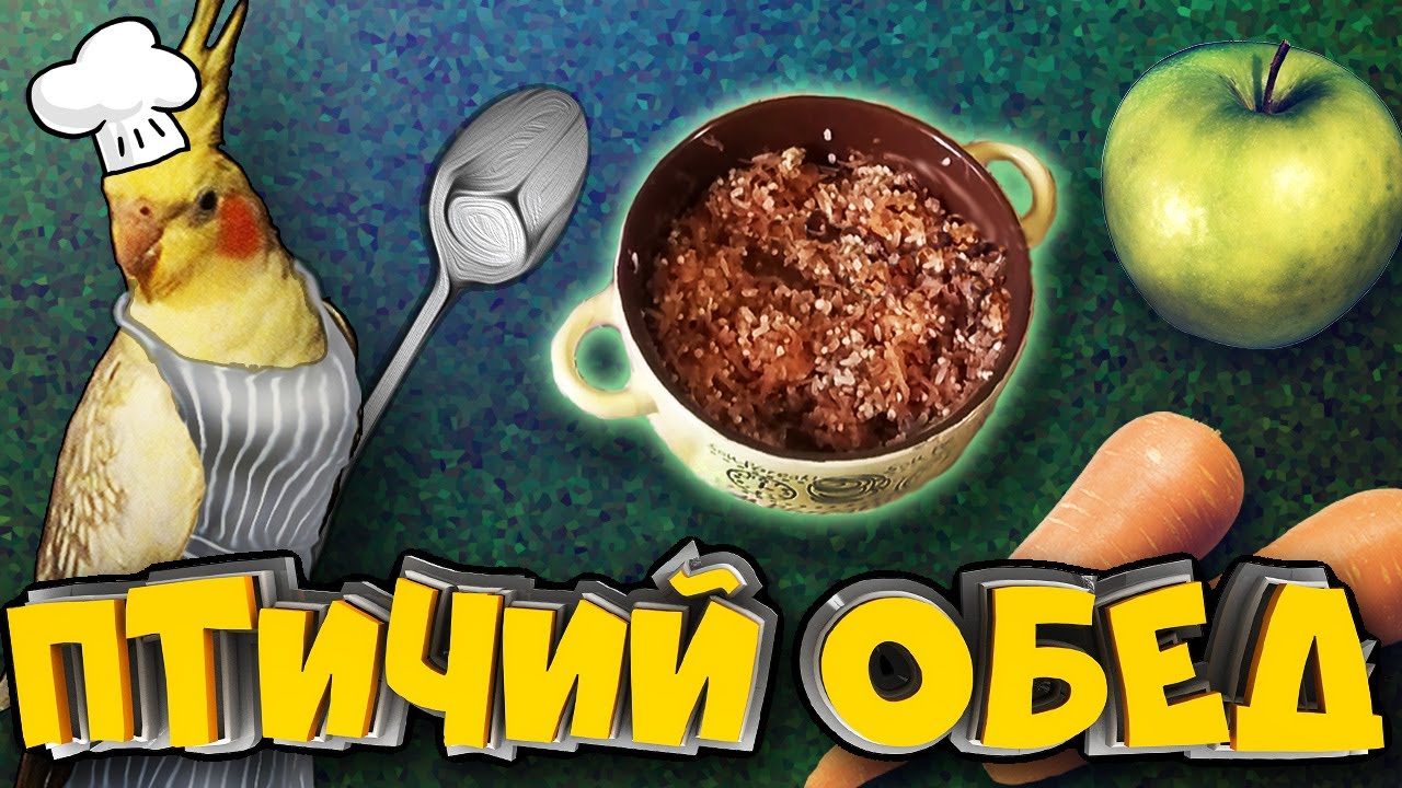 Как приготовить кашу для попугая
