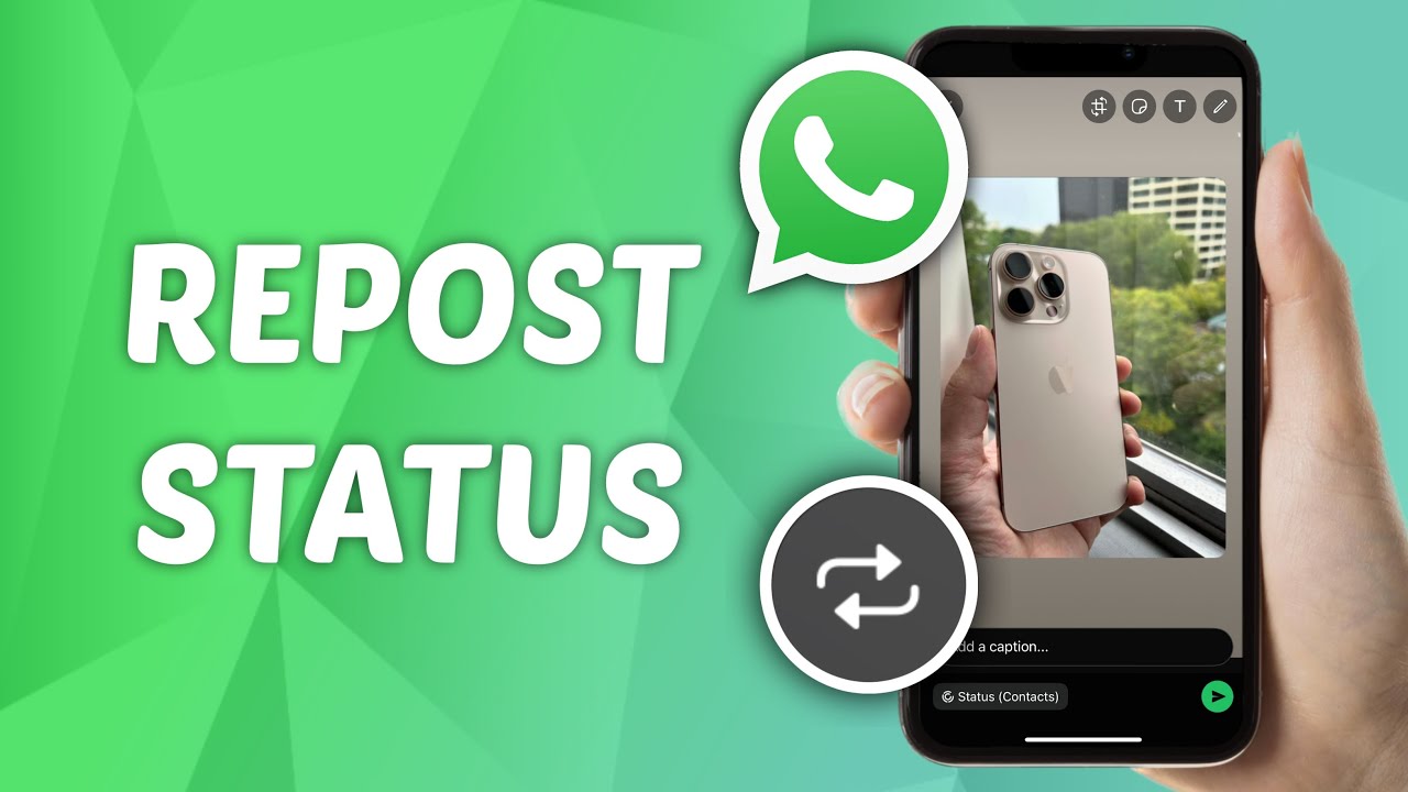 Как сделать репост чьего-либо статуса в WhatsApp