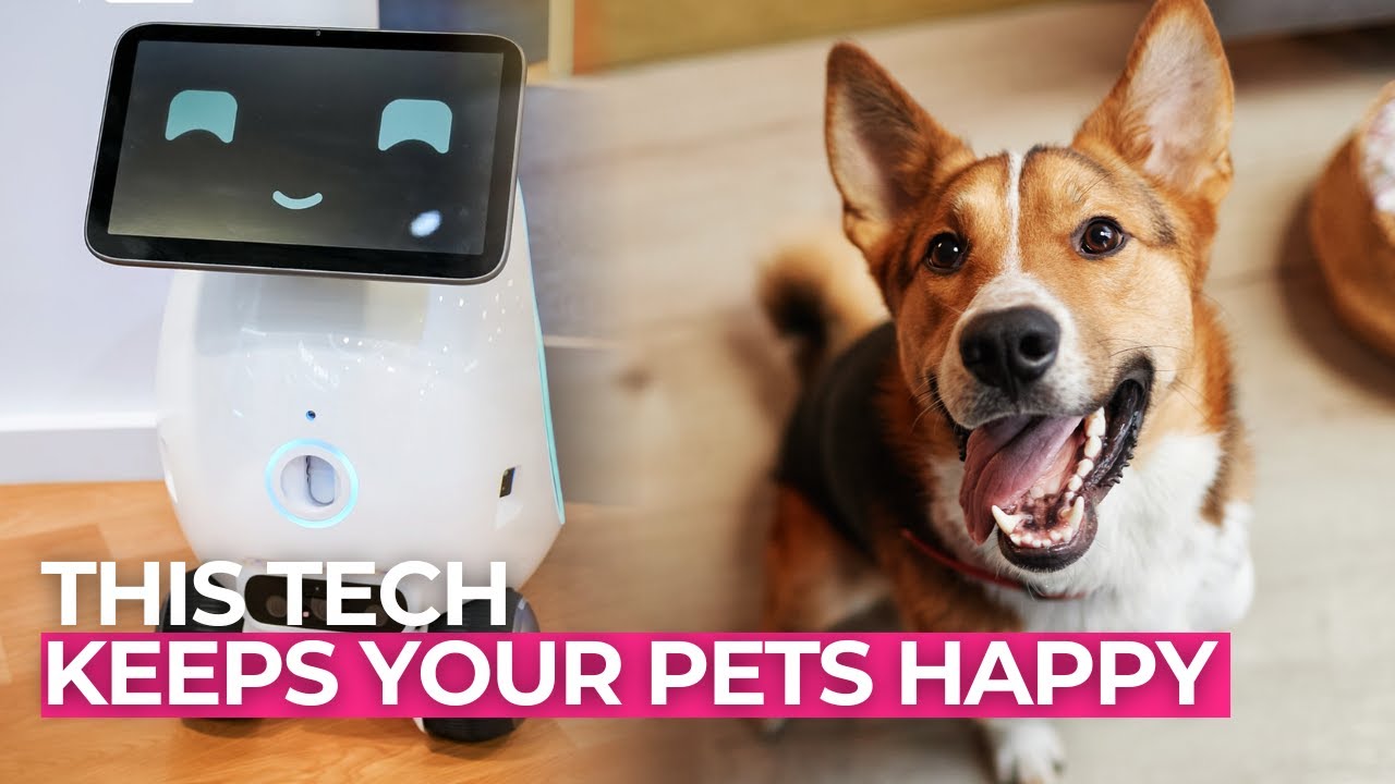 This AI Tech Understands Your Pet Better Than You Do