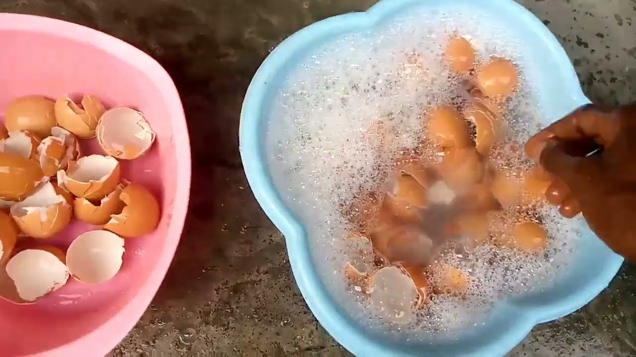 HOW TO FORMULATE SNAIL CALCIUM FEED | SNAIL FEED FORMULATION (WITH EGG SHELL)