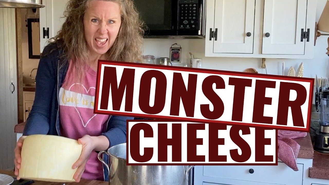 Fat Cow Cheese (RECIPE): This Cream-Boosted Raw Milk Butterkäse Is MASSIVE.