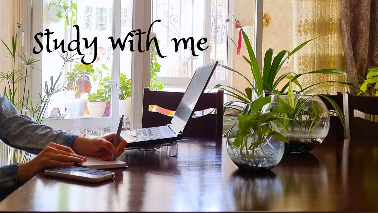 2 hour STUDT WITH ME| pomodoro 50/10( with lofi🎵with countdown and alarm⏰)