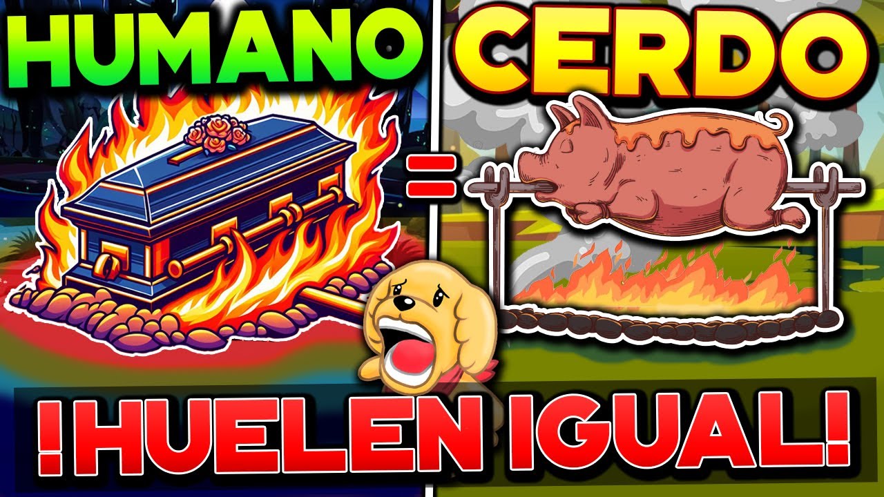 NO ME PREGUNTES como se TODO ESTO... PERO LO S&Eacute; | Cosas que solo sabe el Lomito Dankev 😎