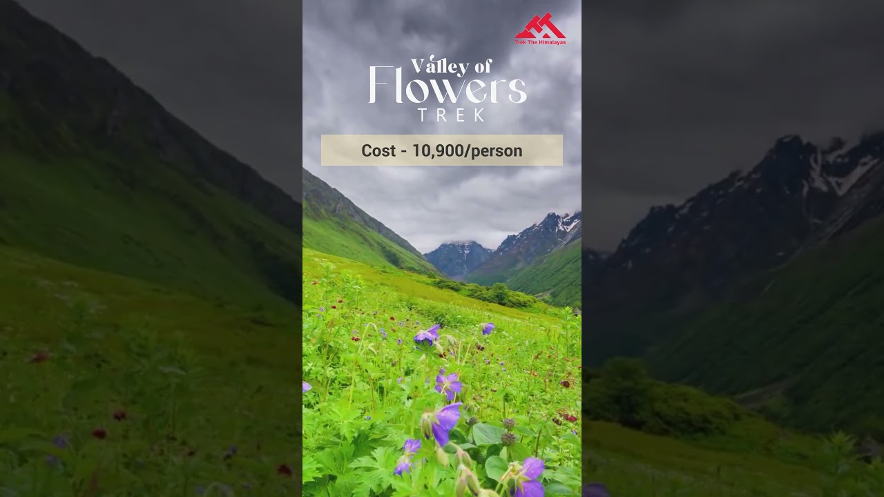 Valley of flowers Trek 2023 | Trek The Himalayas