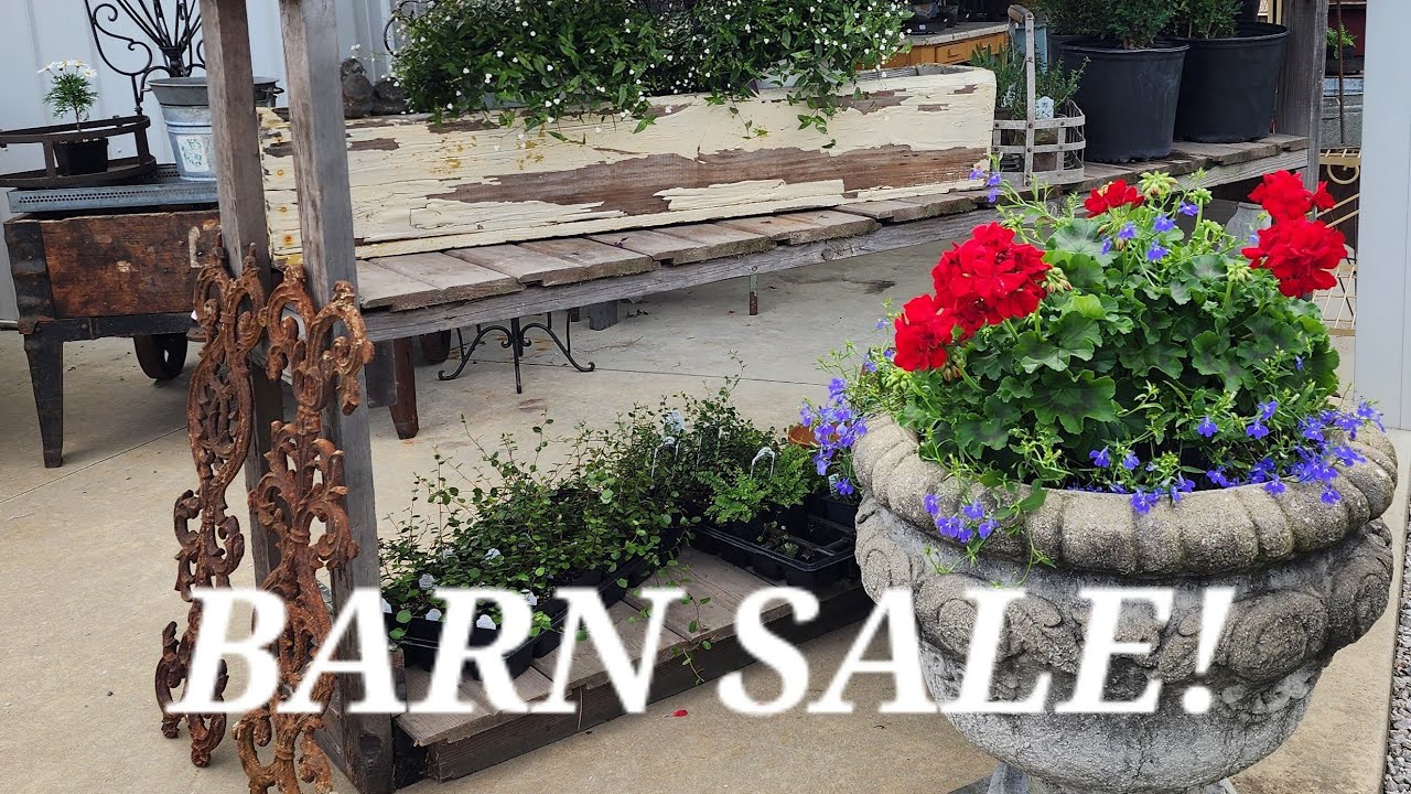Barn Sale! Farmhouse, Antiques, Topiaries, Garden, Country Flowers, Architectural Primitive!