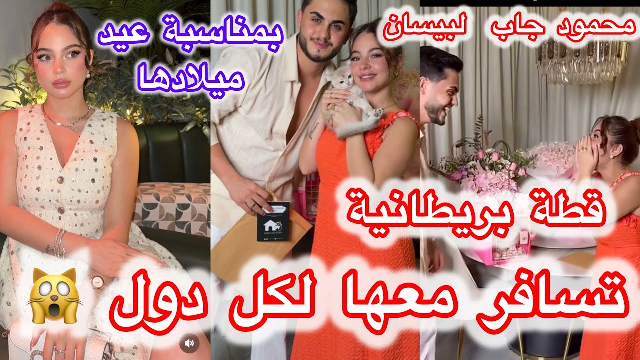 محمود يفاجئ لبيسان يهديها قطة بريطانية تسافر معها لكل دول 🔴😳