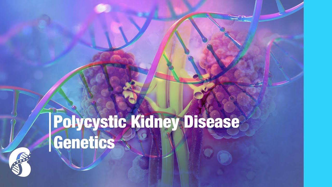 Genetics of Polycystic Kidney Disease
