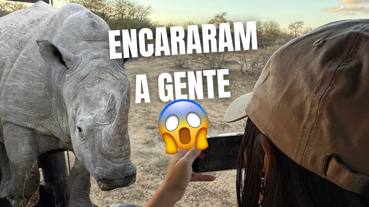 SAFÁRI NA ÁFRICA DO SUL JUNHO 2025 - Nayara Rebello