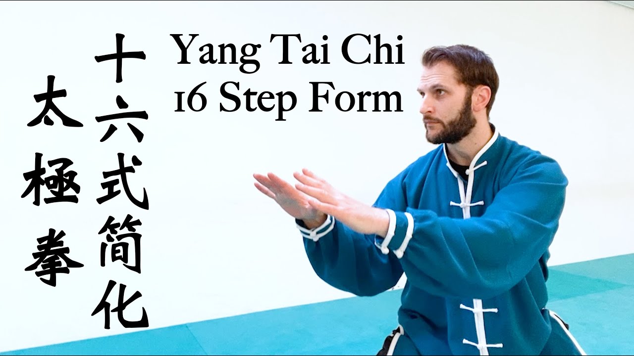 Yang Tai Chi Chuan - 16 Step Form - 十六式简化太極拳