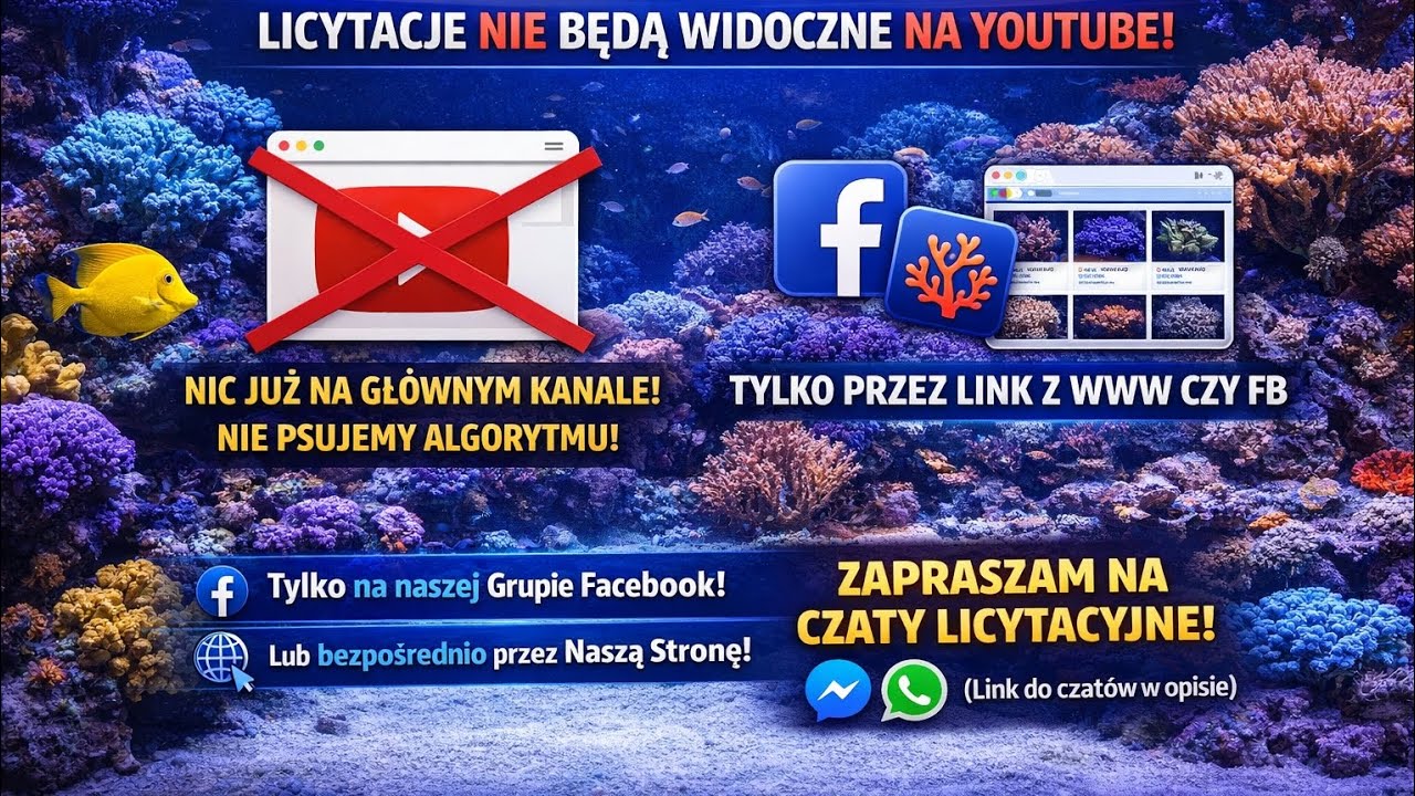 NIE ZOBACZYSZ TU NOWYCH LICYTACJI ALE ONE CAŁY CZAS TRWAJĄ !!! wejdź na czat albo www.fluolamps.pl 