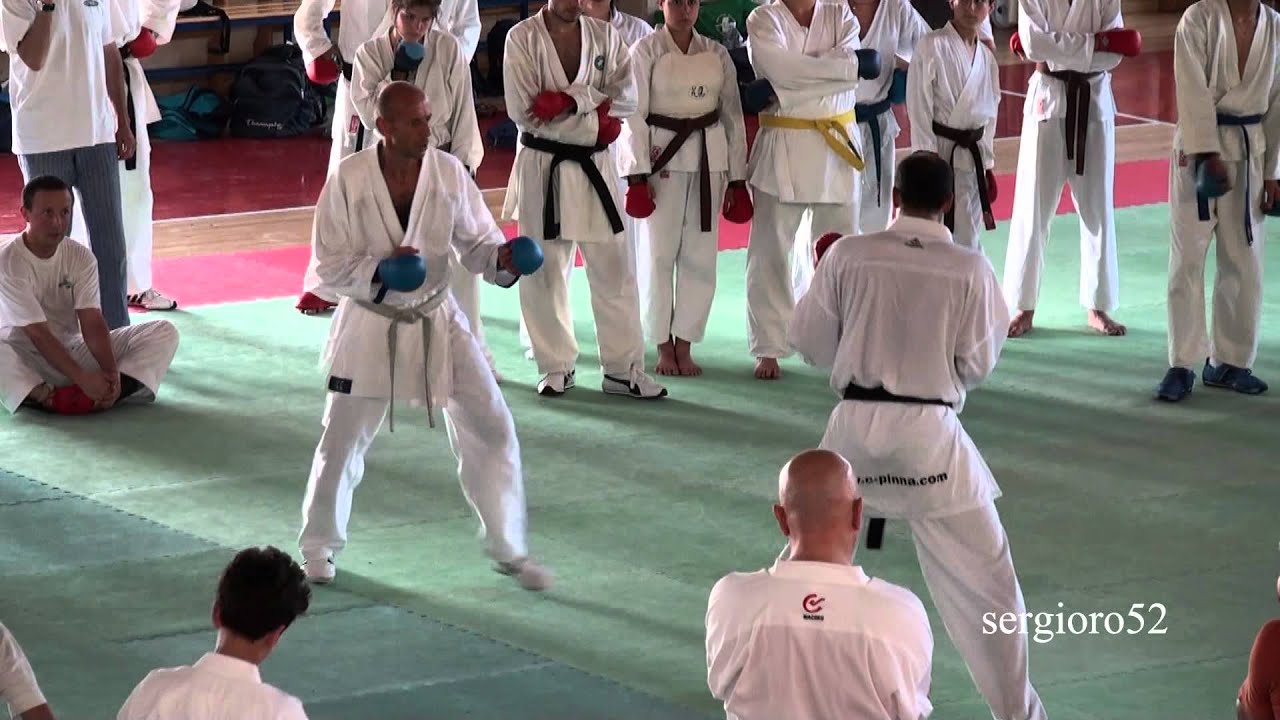 Christophe PINNA-Kumite Seminar-2011-part 4 of 4 (HD)