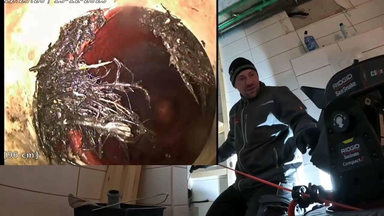 Rohrreinigung 240. Grundleitung verstopft – Kamera zeigt massiven Wurzeleinwuchs im Rohr