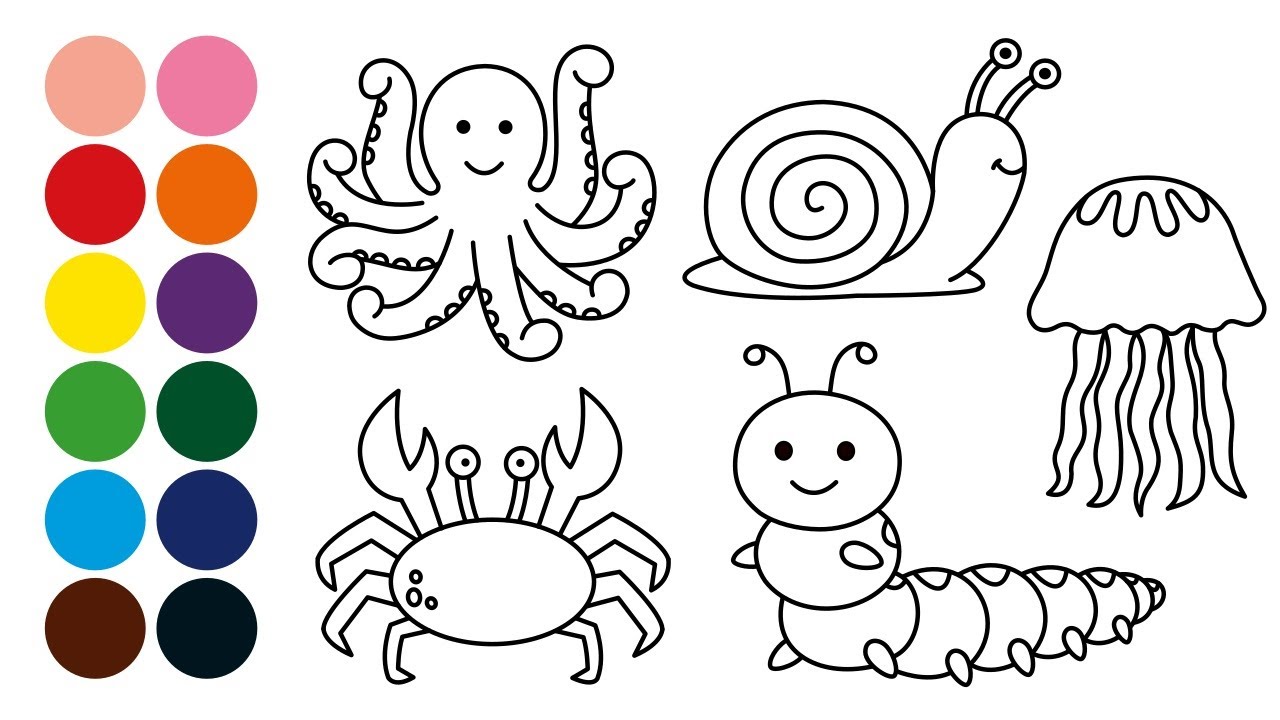 ANIMALES INVERTEBRADOS dibujar y colorear para niños - Dibujar con Vivaldi, Handel y otros