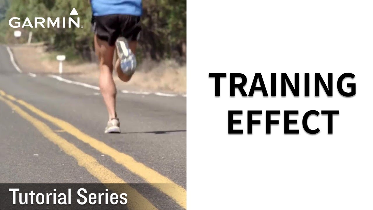 Tutorial – Training Effect