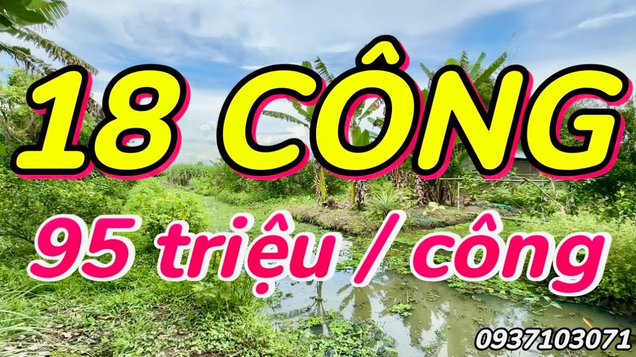 Cần Thơ | Bán gấp 18 công đất vườn cây ăn trái có sẵn | Mặt tiền lớn (xã Hiệp Hưng)
