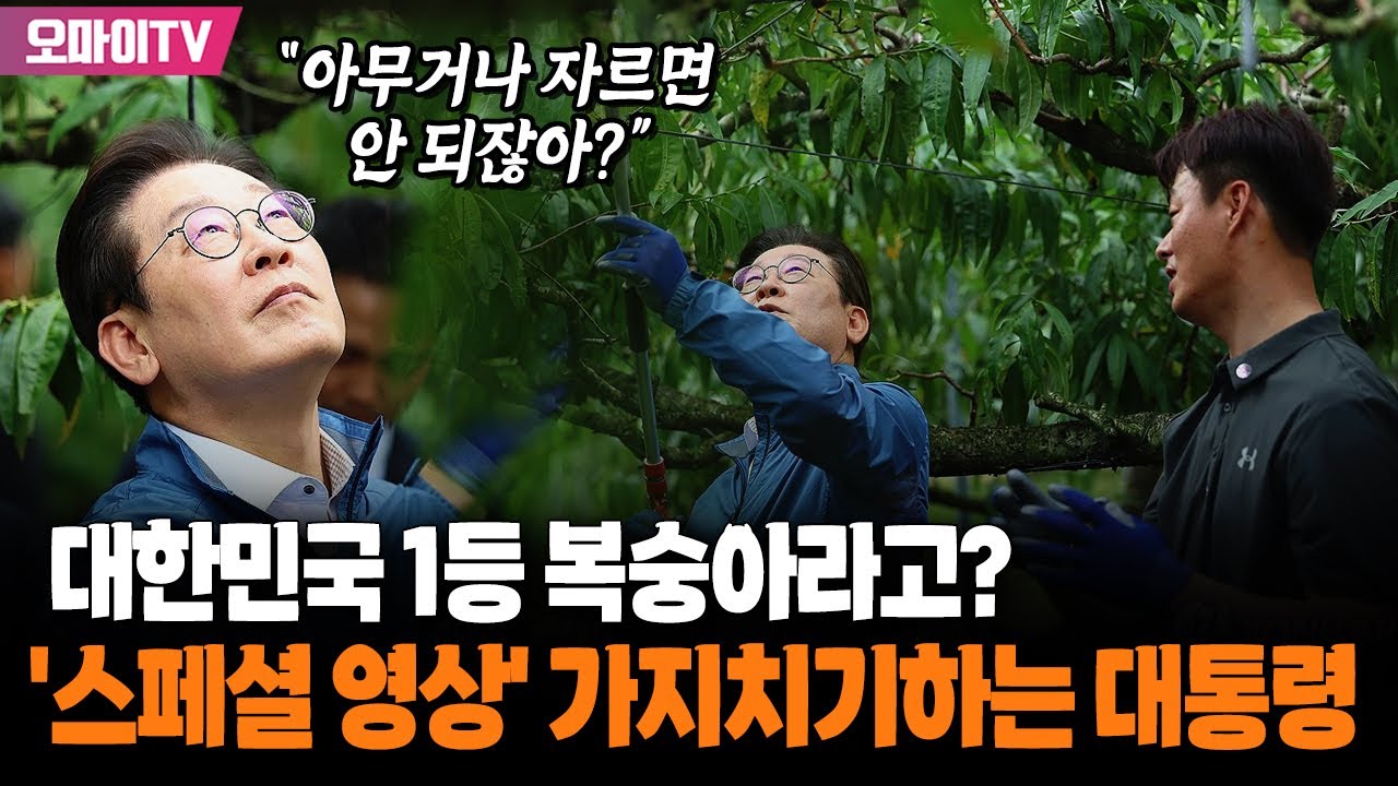 대한민국 1등 복숭아라고? '스페셜 영상' 가지치기하는 이재명 대통령