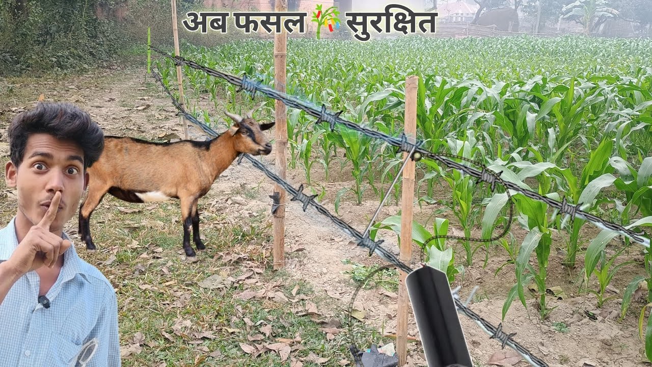 किसान भाइयों इस Jhatka Machine को जरूर बनाना
