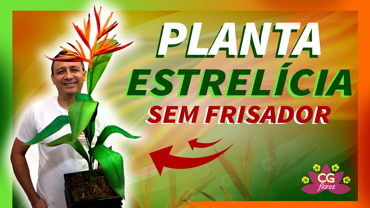 PLANTA ESTRELÍCIA EM EVA | SEM FRISADOR | PASSO A PASSO