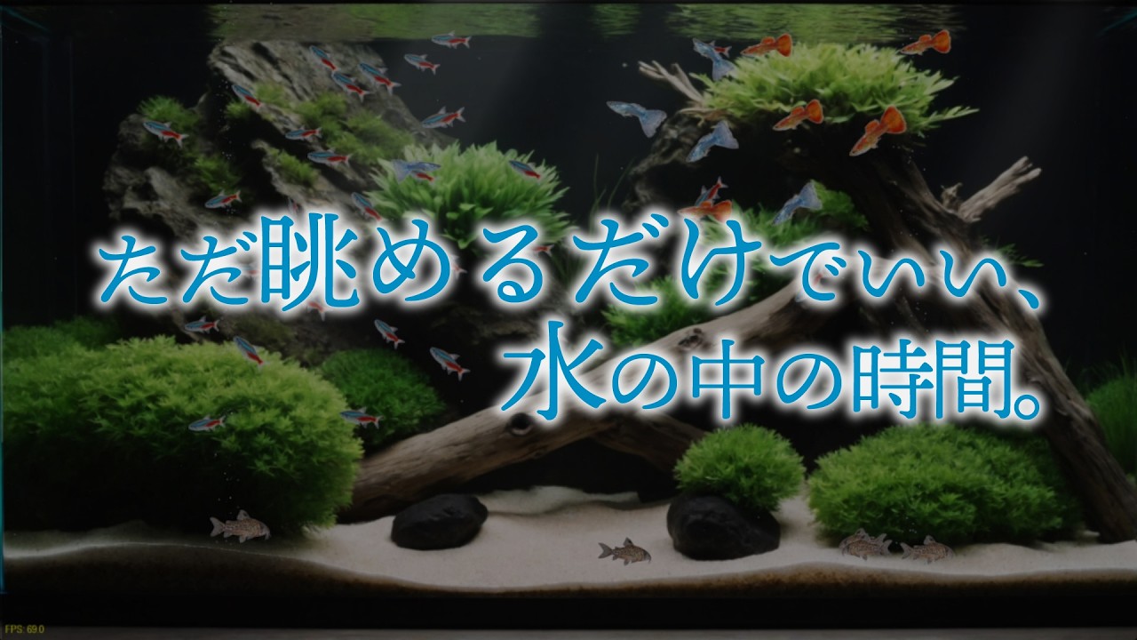 【癒し】Virtual Aquarium | LIVE | interactive