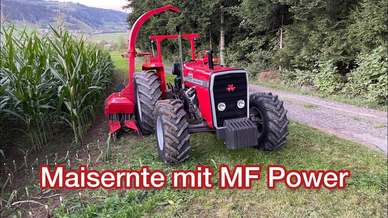 Maisernte mit MF Power