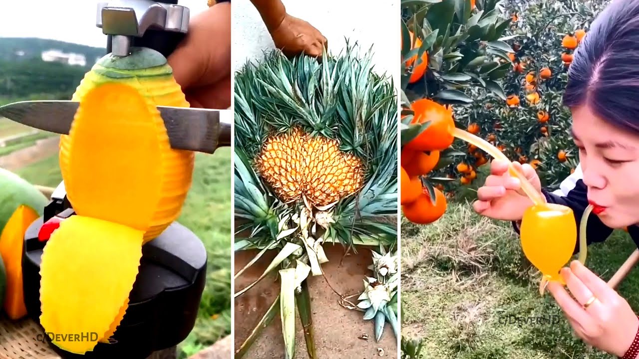 Wonderful Fruits Cutting Videos | Amazing Fruits Cutting Skills | Best Oddly Satisfying Video