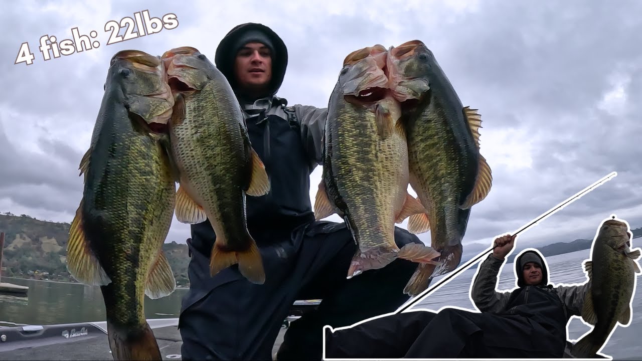 Another 25lb Limit on Clear Lake