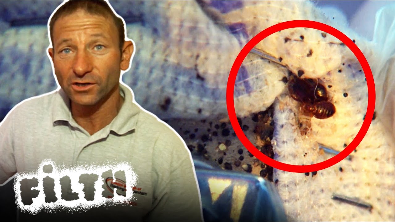 Pest Control Pete VS A Hoarde of Bedbugs | Filth