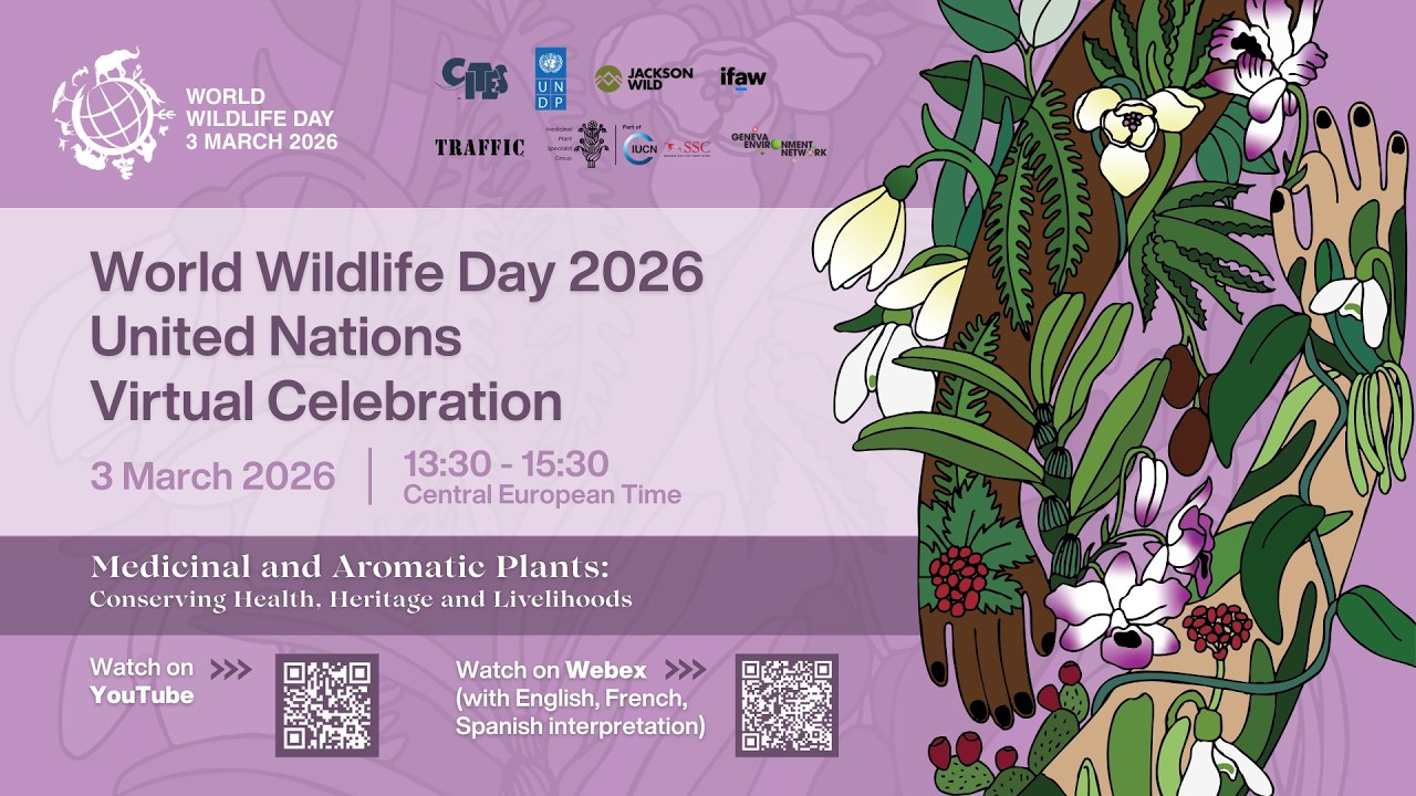 World Wildlife Day 2026 United Nations Virtual Celebration