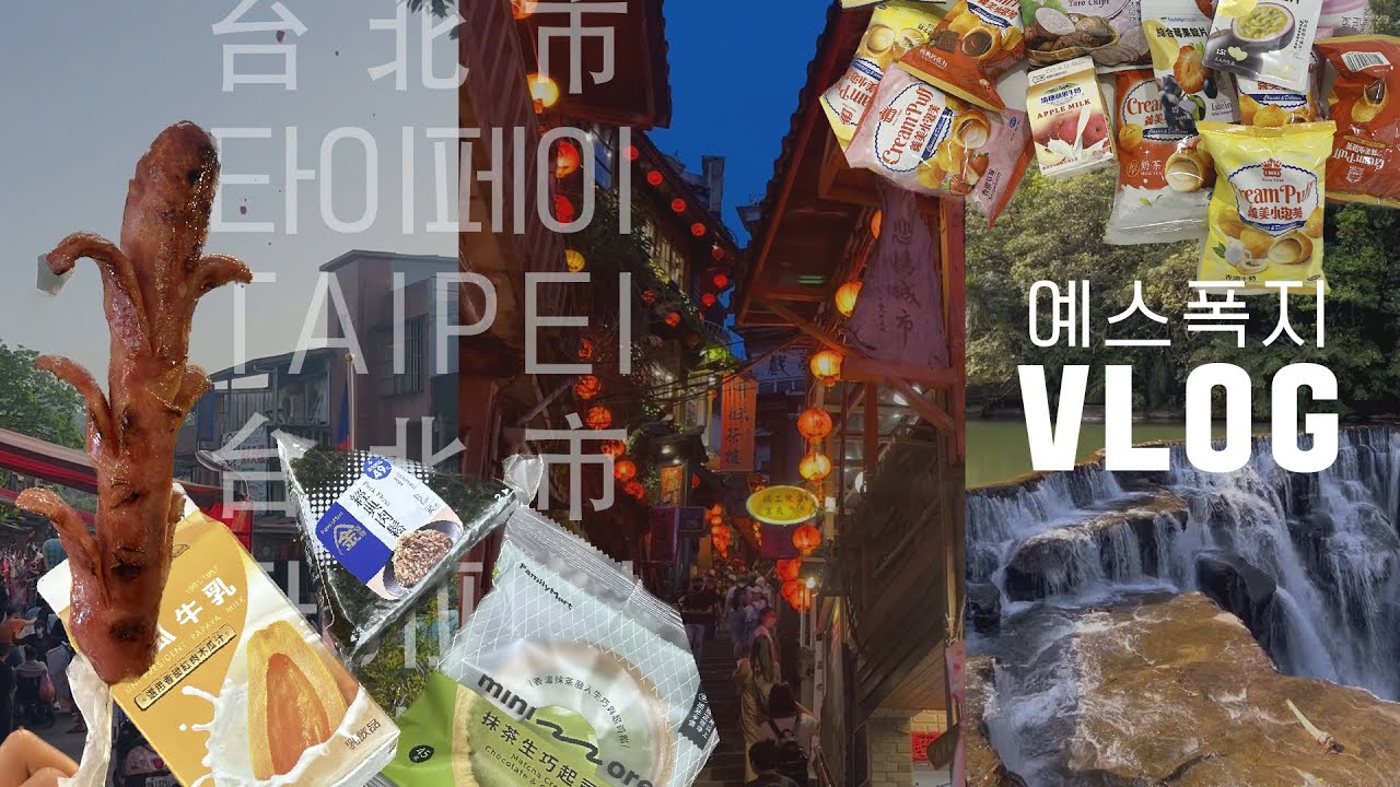 대만 타이페이 여행 🇹🇼 | 예스폭지 버스 투어 | 약간의 편의점 (비)추천템 | 여행 브이로그 VLOG