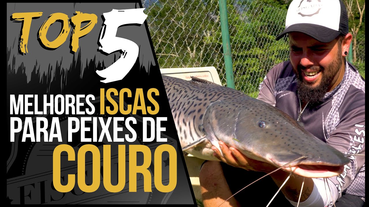 TOP 5 - MELHORES ISCAS PARA PEIXES DE COURO