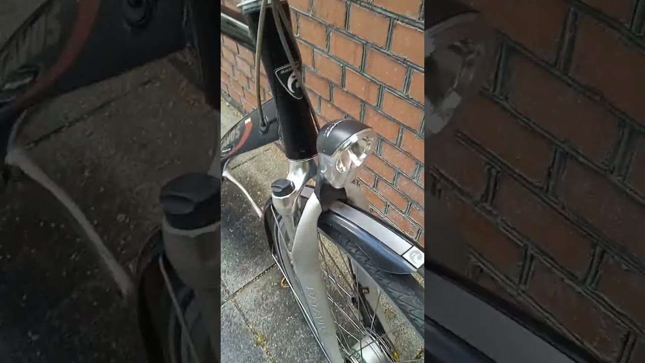 Обзор Batavus Sevilla.