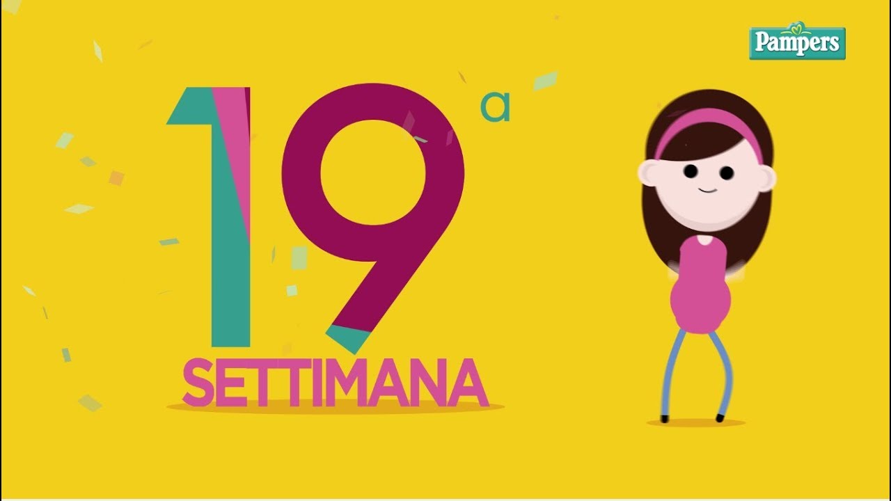 19&deg; settimana di gravidanza