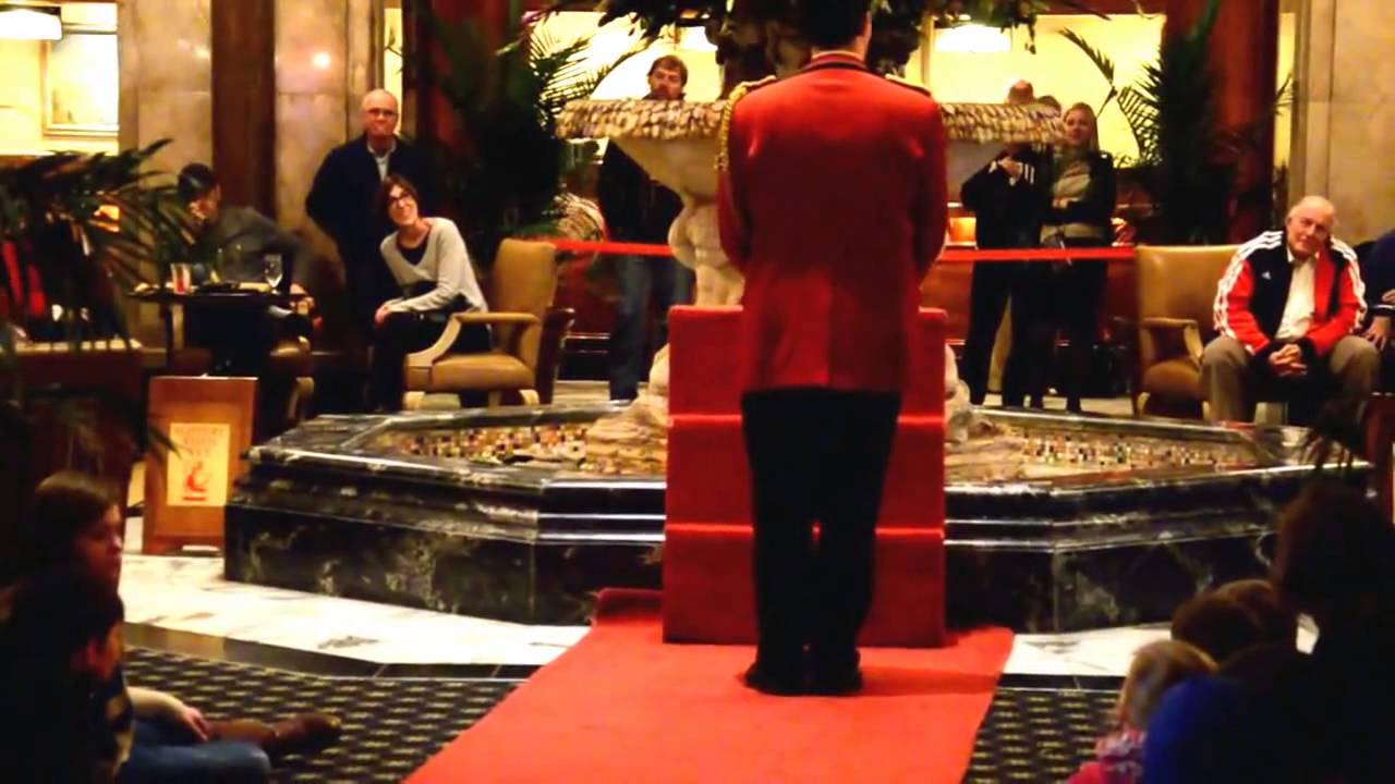 March of the Ducks at Peabody Hotel, Memphis, TN
