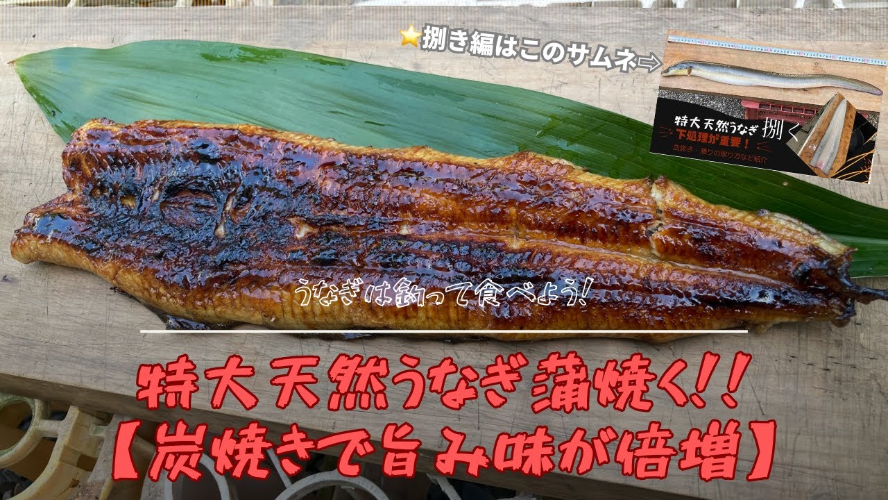 特大天然うなぎ蒲焼く！！【自宅で炭火を使った焼き方を解説】