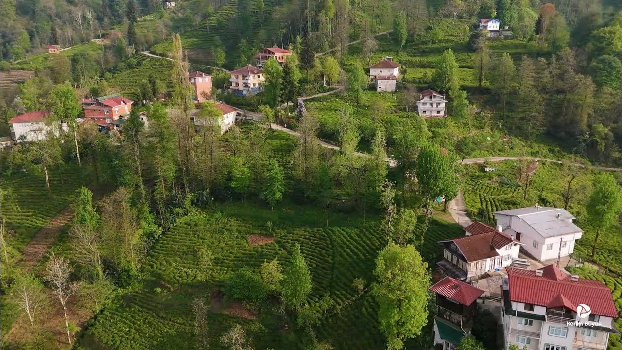 Gültepe - Aktepe - Yeşilyurt köyü - Güneysu / Rize