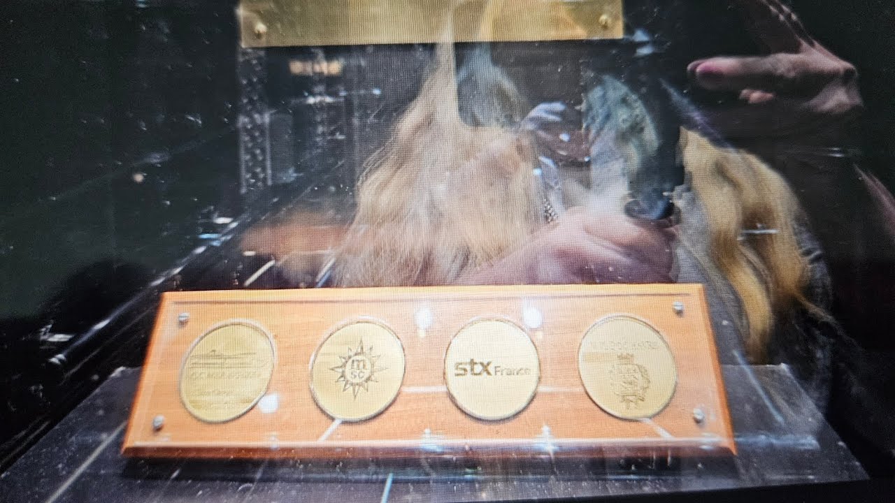 MSC Meraviglia ship coin. I found it!