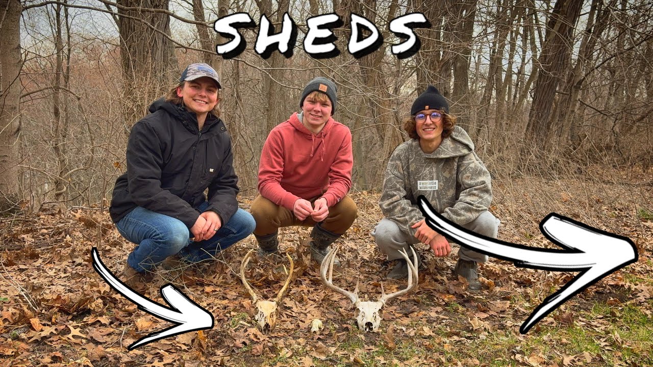 Shed Hunting Southern Michigan! (Epic Find!)