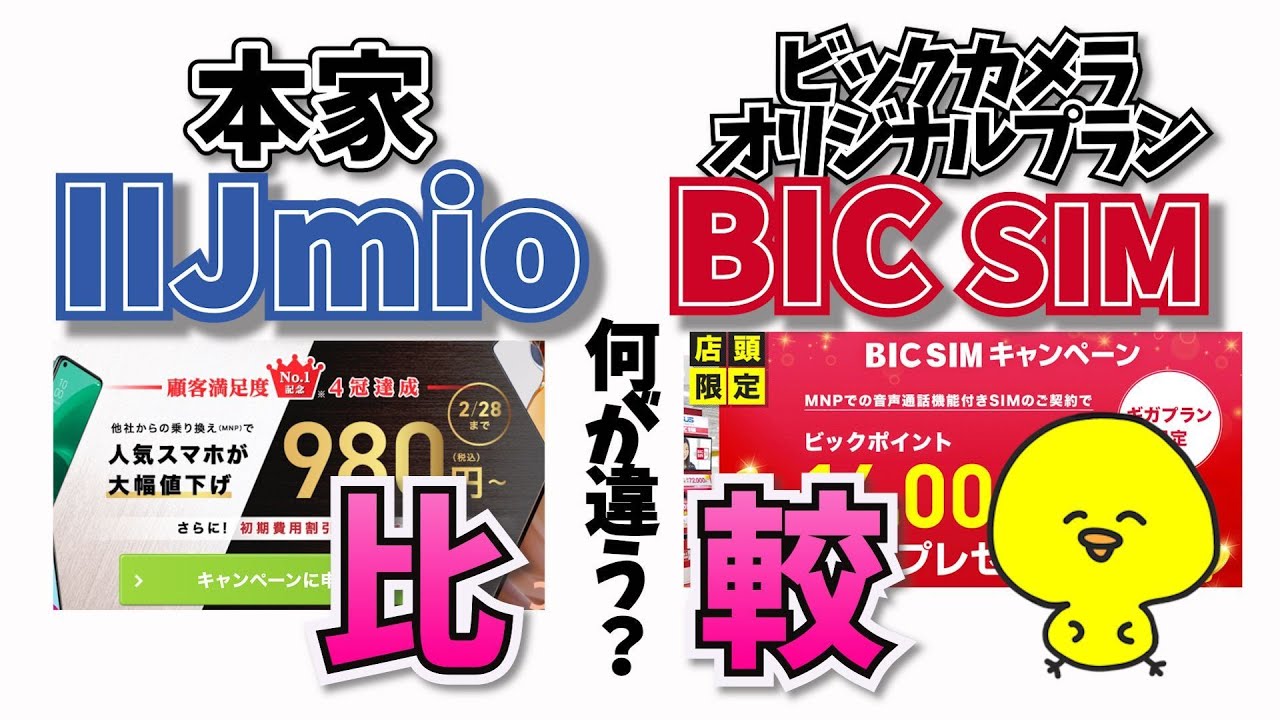 2024年版/比較【IIJmioとBIC sim 】大きな違いは4つだけ!?/マイピタ/楽天モバイル/格安sim/mineo/マイネオ/ビックカメラシム/ギガプラン/esim/eシム/イーシム